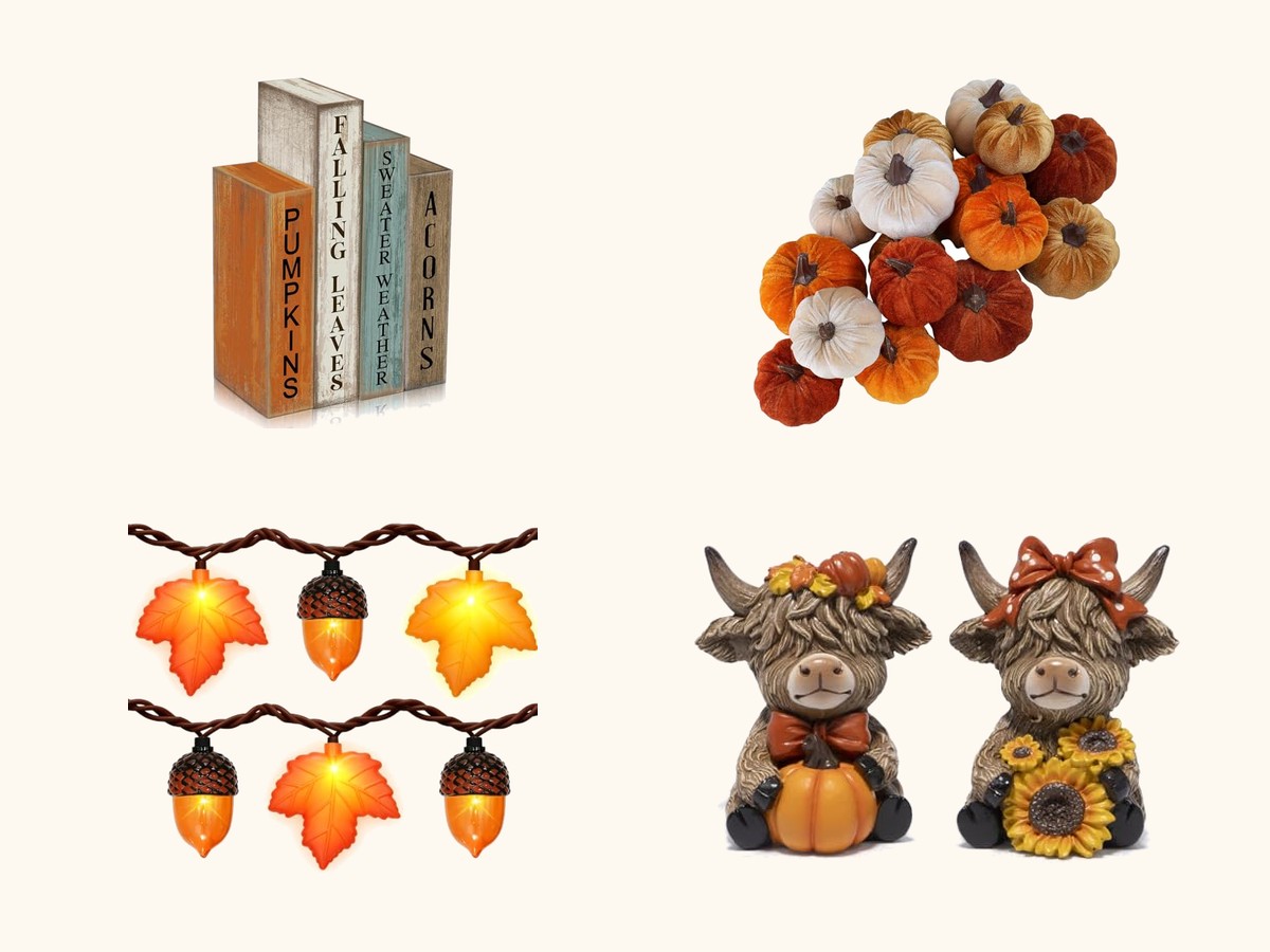 Fall decor for the school library collage
