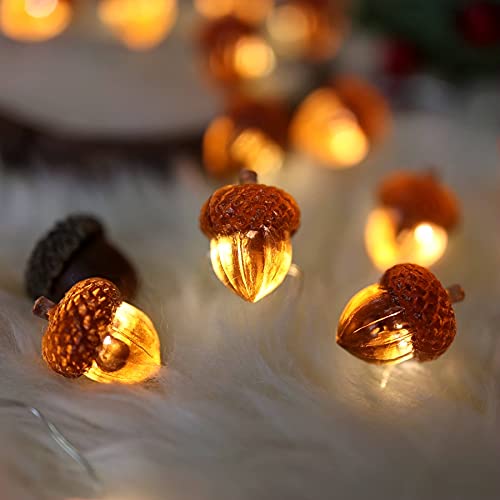Small amber acorn bulbs glowing warmly along a fine wire string light