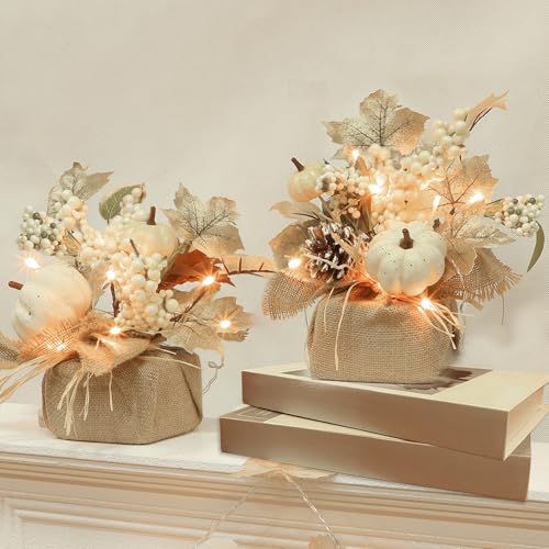Pair of small lighted arrangements with cream leaves, white pumpkins and berries in burlap-wrapped bases