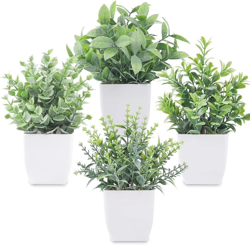 Four small frosted eucalyptus faux plants in white pots