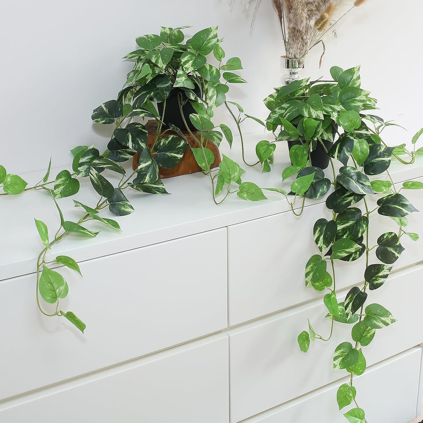 Two artificial trailing pothos plants in pots